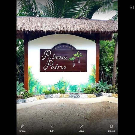 Palmera Palma Top Floor Moalboal Luaran gambar