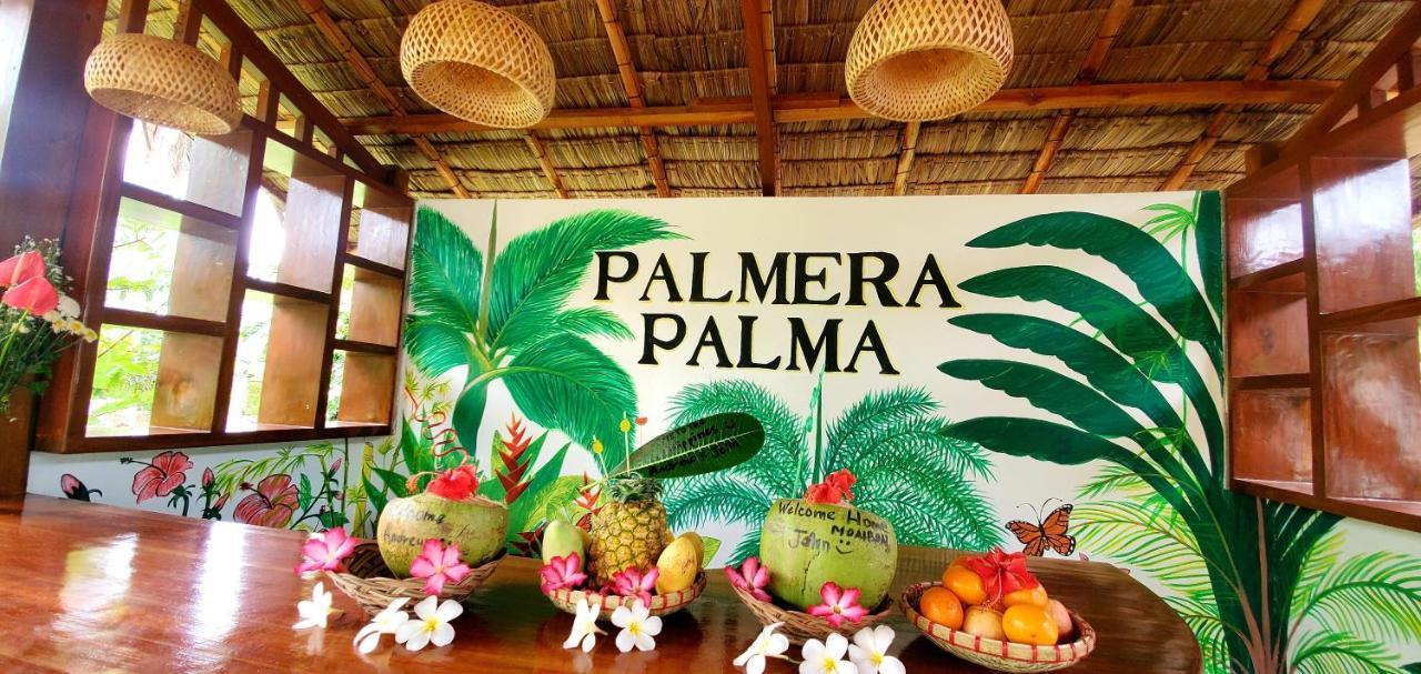 Palmera Palma Top Floor Moalboal Luaran gambar