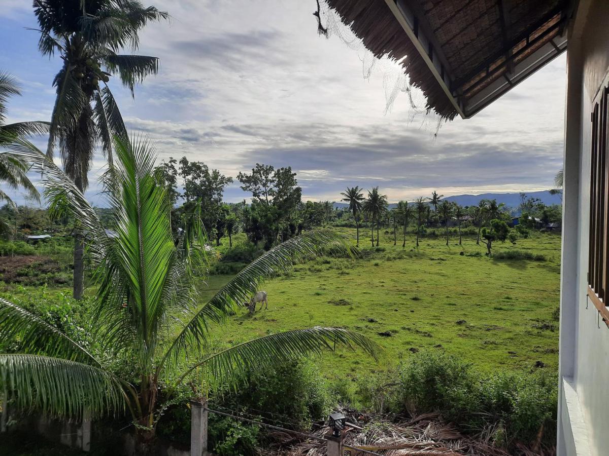 Palmera Palma Top Floor Moalboal Luaran gambar